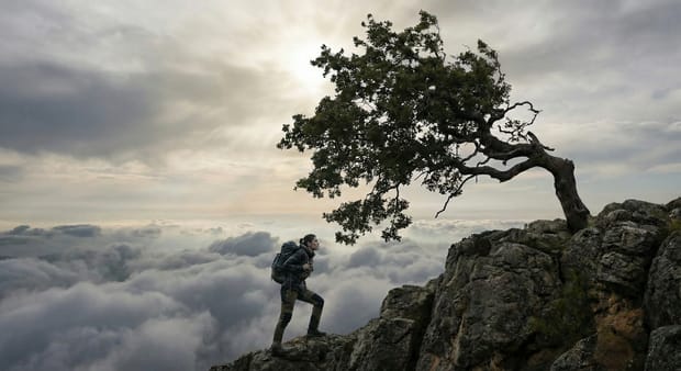 About Business Fortitude